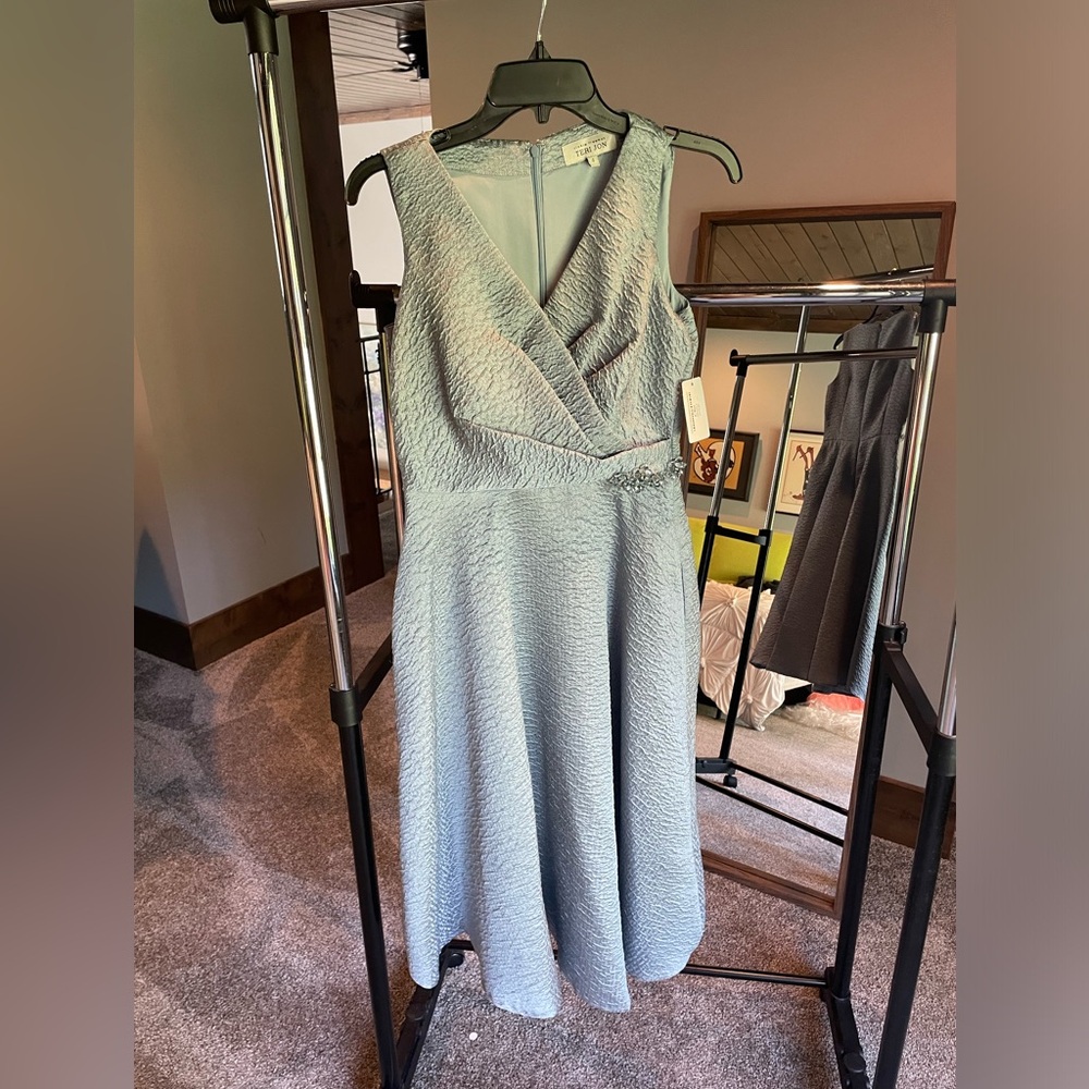 Occasion dress Teri Jon tags on dress size 4